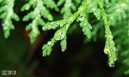 下雨心情語(yǔ)錄